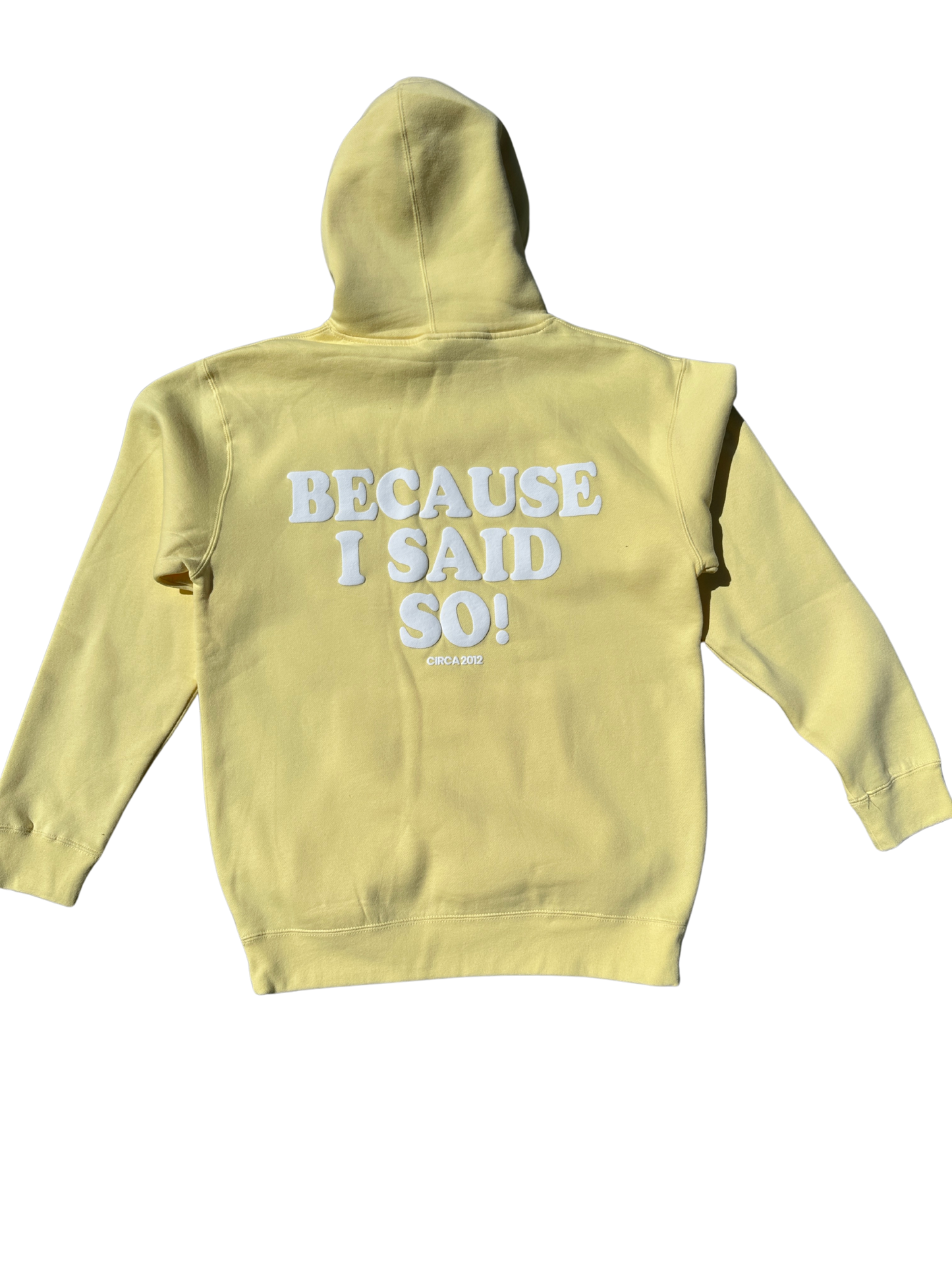 Because I said so! hoodie