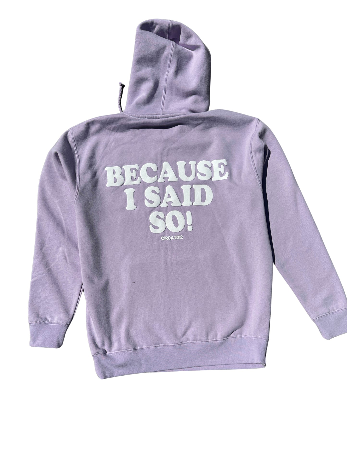Because I said so! hoodie