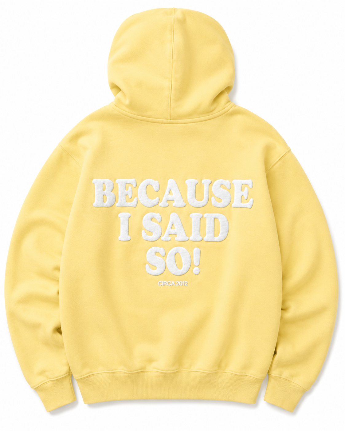 Because I said so! hoodie