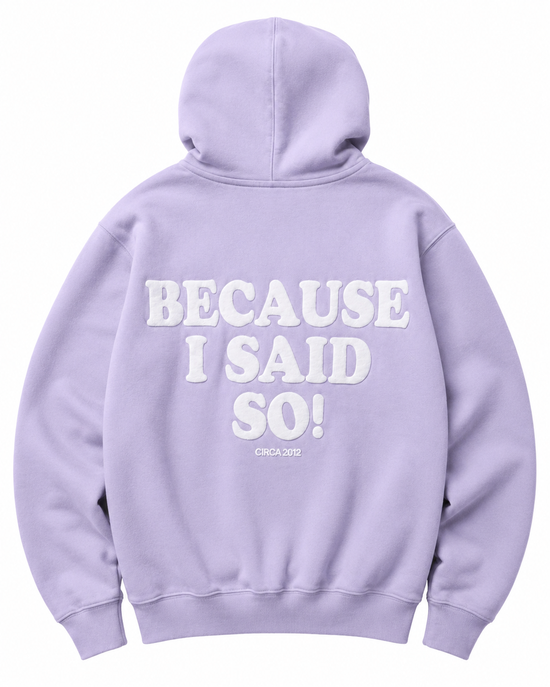 Because I said so! hoodie